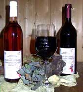 Rotwein