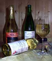 Weissweine